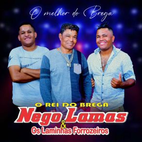 Download track Aceita Que Doi Menos Os Laminhas Forrozeiros