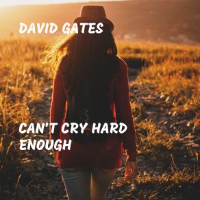 Download track There's No Easy Way David Gates