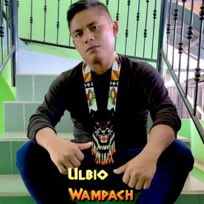 Download track Tu Mirada ULBIO WAMPACH