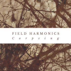 Download track Clestine Field Harmonics