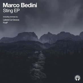 Download track Sting (Lateral Cut Groove Remix) Marco BediniLateral Cut Groove