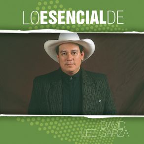 Download track Ojo De Vidrio David Lee Garza