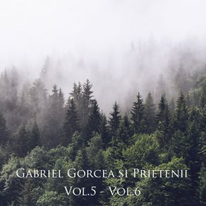 Download track De Aceea Eu II Cant Gabriel Gorcea Si Prietenii