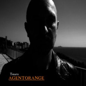 Download track Everything Is Silent Agent Orange