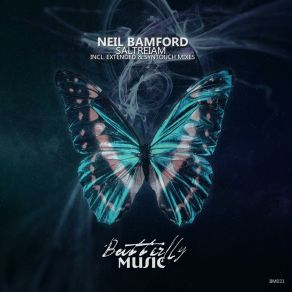 Download track Saltreiam (Syntouch Remix) Neil Bamford