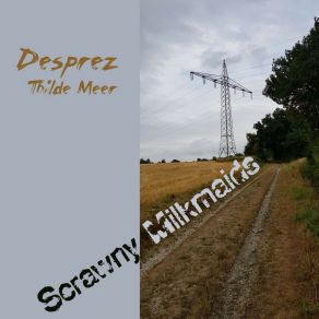 Download track Ohne Zu Schleppen Thilde Meer