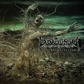 Download track Natural Selection Dissolution