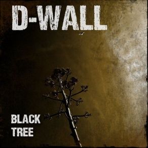 Download track Shackleton D-Wall