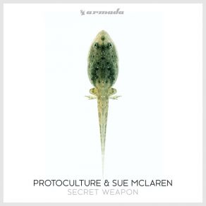 Download track Secret Weapon (Extended Mix) Sue Mclaren, Protoculture