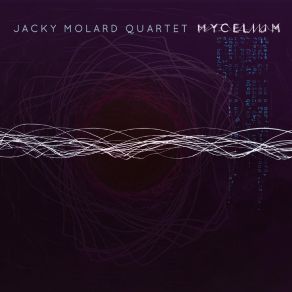 Download track Adjihina Jacky Molard Quartet