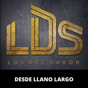 Download track Dame Un Pasito Los Del Sabor LDS