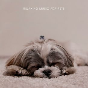 Download track Soothing Sleep Music For Pets Relaxing For Pets