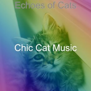 Download track Unique Moods For Relaxing Your Cat Chic Cat Music