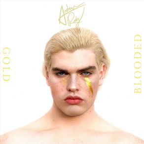 Download track Gold Blooded Andrew Rudy