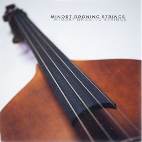 Download track D # Min7 Droning Strings Music Skillz Backing Tracks