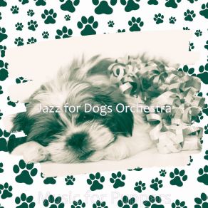 Download track Luxurious Sweet Dogs Jazz For Dogs Orchestra