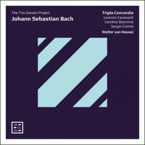 Download track Trio Sonata In C Minor, BWV 1029: II. Adagio (Transcribed By Sergio Ciomei) Tripla Concordia, Walter Van Hauwe