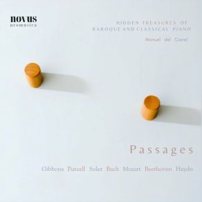 Download track Chaconne In D Minor From Violin Partita BWV 1004 (Arr. By Busoni) Part Xi' Manuel Del Corral