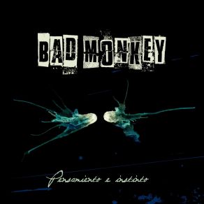 Download track Los Rincones Bad Monkey