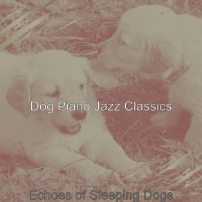 Download track Funky Solo Piano Jazz - Vibe For Calming Your Dog Dog Jazz Classics