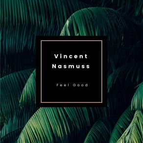 Download track New Moment Vincent Nasmuss