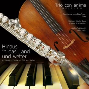 Download track Flute Sonata In E Minor, BWV 1034: II. Allegro Martin Salzwedel, The TrioMichael Hartenberg, Constanze Von Baußnern