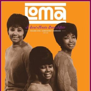 Download track Somebody (Somewhere) Needs You Tina Turner, Ike