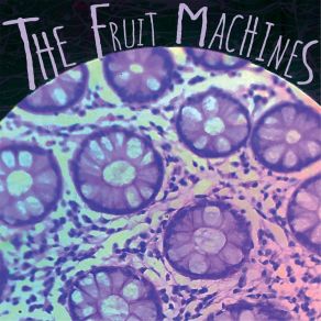 Download track Video Star The Fruit Machines