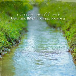 Download track Gurgling River Flowing Sounds, Pt. 1 Sebastian Riegl