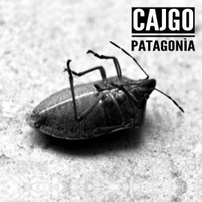 Download track Alienazione Cajgo