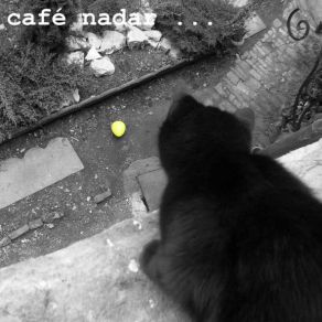 Download track Coupable Café Nadar