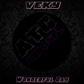 Download track Wonderful Day (Intro Edit) VEKY