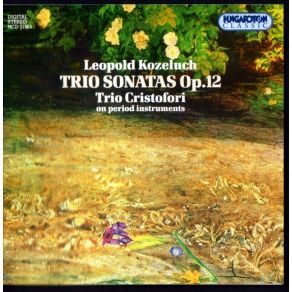 Download track 3. III. Allegro Leopold Koželuh