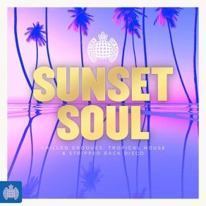 Download track Sunset Soul (Continuous Mix 1) Vance Joy