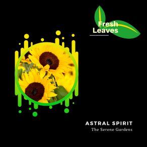 Download track Positive Thoughts (Original Mix) Astral Spirit