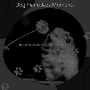 Download track Suave Ambience For Separation Anxiety Dog Jazz Moments