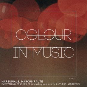 Download track Everything (Original Mix) Marcus Raute, Marsupials