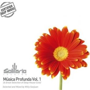 Download track Musica Profunda Vol. 1 Sunrise Mix 2 Willy SanJuan