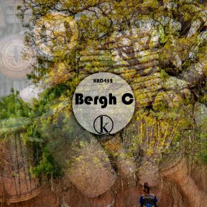 Download track Blin Blah (Original Mix) Bergh C