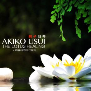 Download track Centering Energy (432Hz Remastered) Akiko Usui