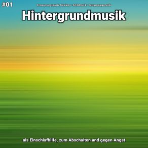 Download track Hintergrundmusik Teil 76 Entspannungsmusik