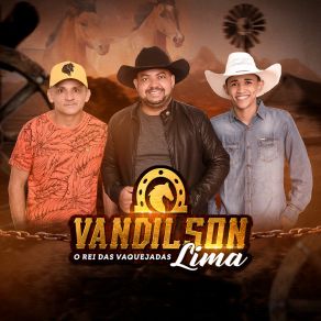 Download track Libera Ela (Cover) Vandilson Lima