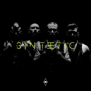 Download track SINTETIC HVNDS