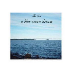 Download track Seashells A Blue Ocean Dream