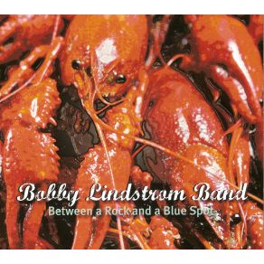 Download track Ain'T Superstitious Bobby Lindstrom Band