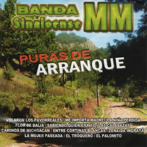 Download track El Troquero Banda Sinaloense MM