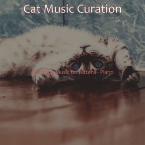 Download track Chilled Ambiance For Resting Cats Cat Music Curation