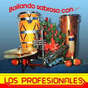 Download track En Verano Los Profesionales