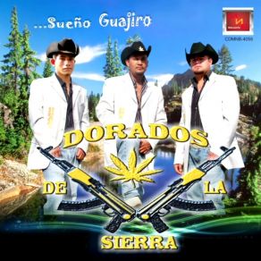 Download track Gente Batallosa Dorados De La Sierra
