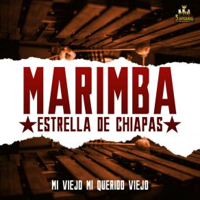 Download track Te Para Dos Marimba Estrella De Chiapas